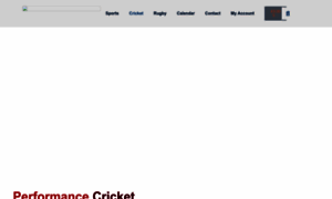 Performance-cricket.com thumbnail