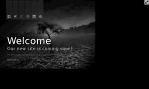 Perl6.in thumbnail