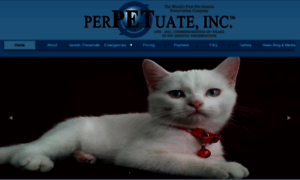 Perpetuate.net thumbnail