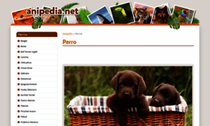 Perros.anipedia.net thumbnail