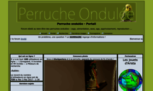 Perruche.org thumbnail
