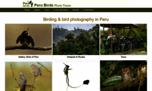 Perubirds.org thumbnail