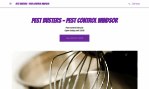 Pest-busters-pest-control-windsor.business.site thumbnail