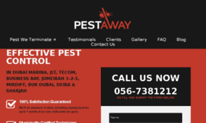 Pestaway.ae thumbnail
