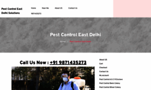 Pestcontroleastdelhi.in thumbnail