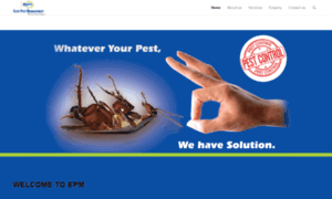 Pestcontrolpune.com thumbnail