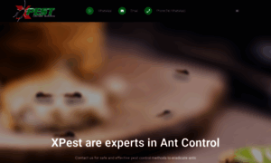 Pestcontrolservices.co.za thumbnail