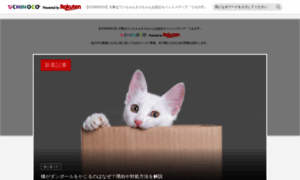 Pet-info.event.rakuten.net thumbnail