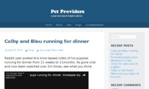 Pet-providers.co.uk thumbnail