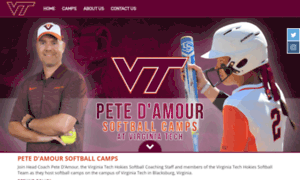 Petedamoursoftballcamps.com thumbnail