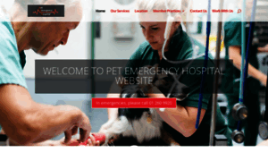 Petemergencyhospital.ie thumbnail