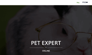 Petexpert.online thumbnail