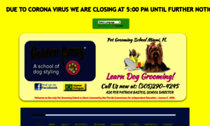 Petgroomingschoolmiami.com thumbnail