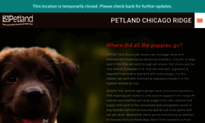 Petlandchicagoridge.com thumbnail