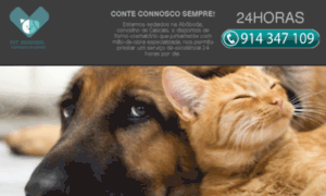 Petmemorial.nucleonso.pt thumbnail