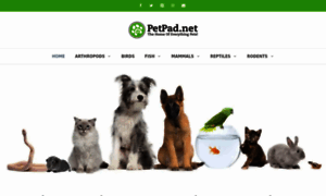 Petpad.net thumbnail