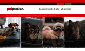 Petpassion.tv thumbnail