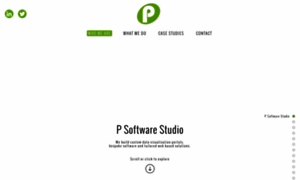 Petricsoftware.com thumbnail