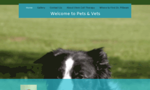 Petsandvets-at-fallspark.com thumbnail