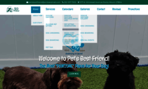 Petsbestfriendinc.com thumbnail