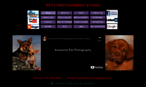 Petsphotography.com thumbnail