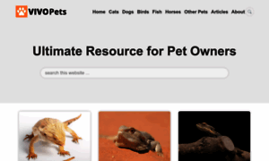 Petssquare.com thumbnail