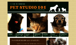 Petstudio101.com thumbnail