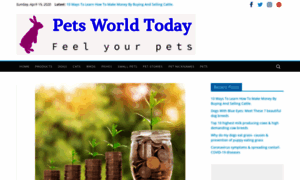 Petsworldtoday.in thumbnail