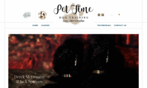Pettimedogtraining.com thumbnail