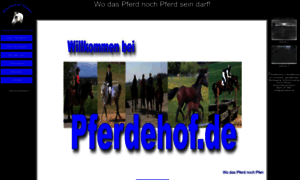 Pferdehof.de thumbnail