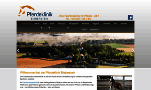 Pferdeklinik-bieberstein.de thumbnail