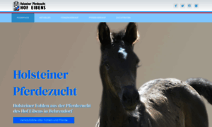 Pferdezucht-holsteiner.de thumbnail
