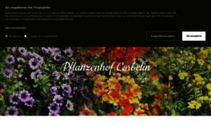 Pflanzenhof-corbelin.de thumbnail