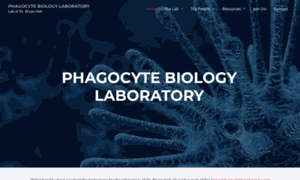 Phagocytes.ca thumbnail