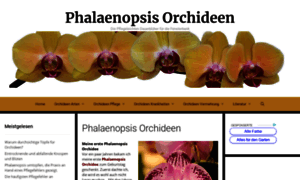 Phalaenopsis-orchideen-kaufen.de thumbnail