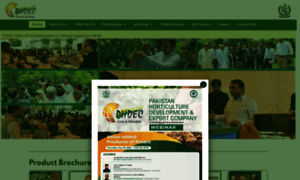 Phdec.gov.pk thumbnail