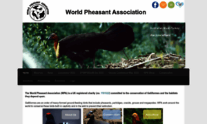 Pheasant.org.uk thumbnail