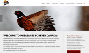 Pheasantsforever.ca thumbnail