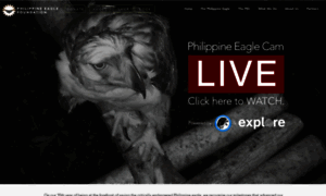 Philippineeaglefoundation.org thumbnail