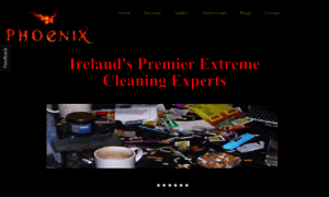 Phoenix-extreme-cleaning-ireland.ie thumbnail