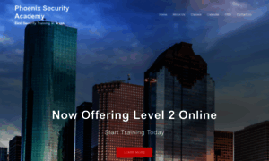 Phoenix-securityacademy.com thumbnail