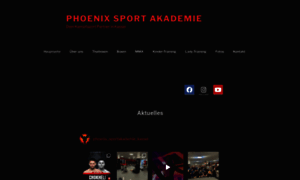 Phoenix-sport-akademie.de thumbnail