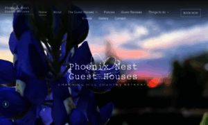 Phoenixnest.com thumbnail