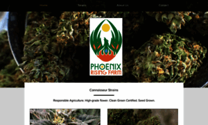 Phoenixrisingfarmoregon.com thumbnail