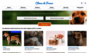 Photos-de-chiens.com thumbnail