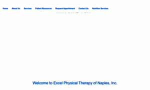 Physicaltherapyofnaples.com thumbnail