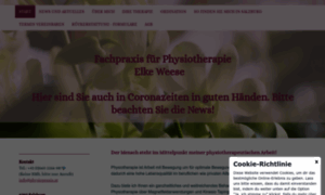 Physiopraxis.at thumbnail