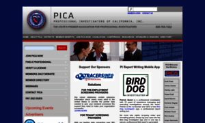 Pica-association.org thumbnail