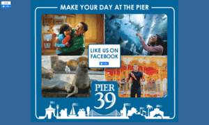 Pier39.socialmoms.com thumbnail