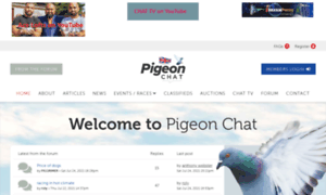 Pigeon-chat.co.uk thumbnail
